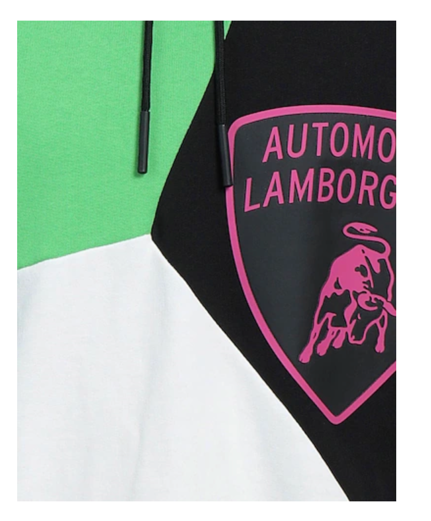 Automobili Lamborghini Beyond Collection Hooded Sweatshirt